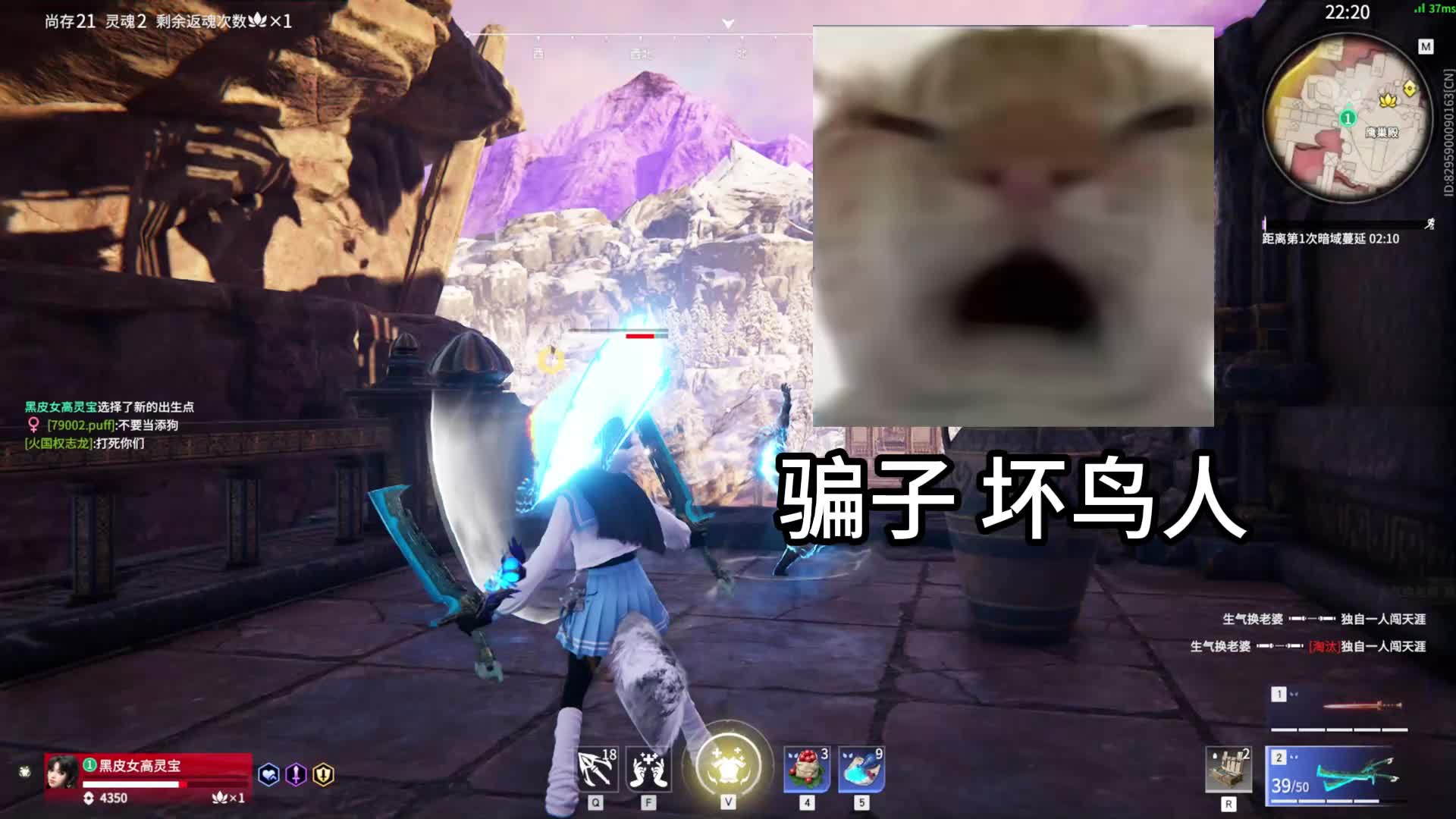 报告  今天桃桃也没有吃到鸡