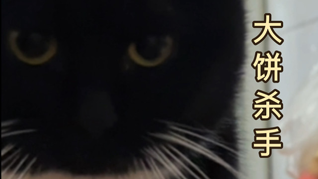 有的猫爱吃肉，有的猫爱吃菜，而我的猫，爱吃大饼