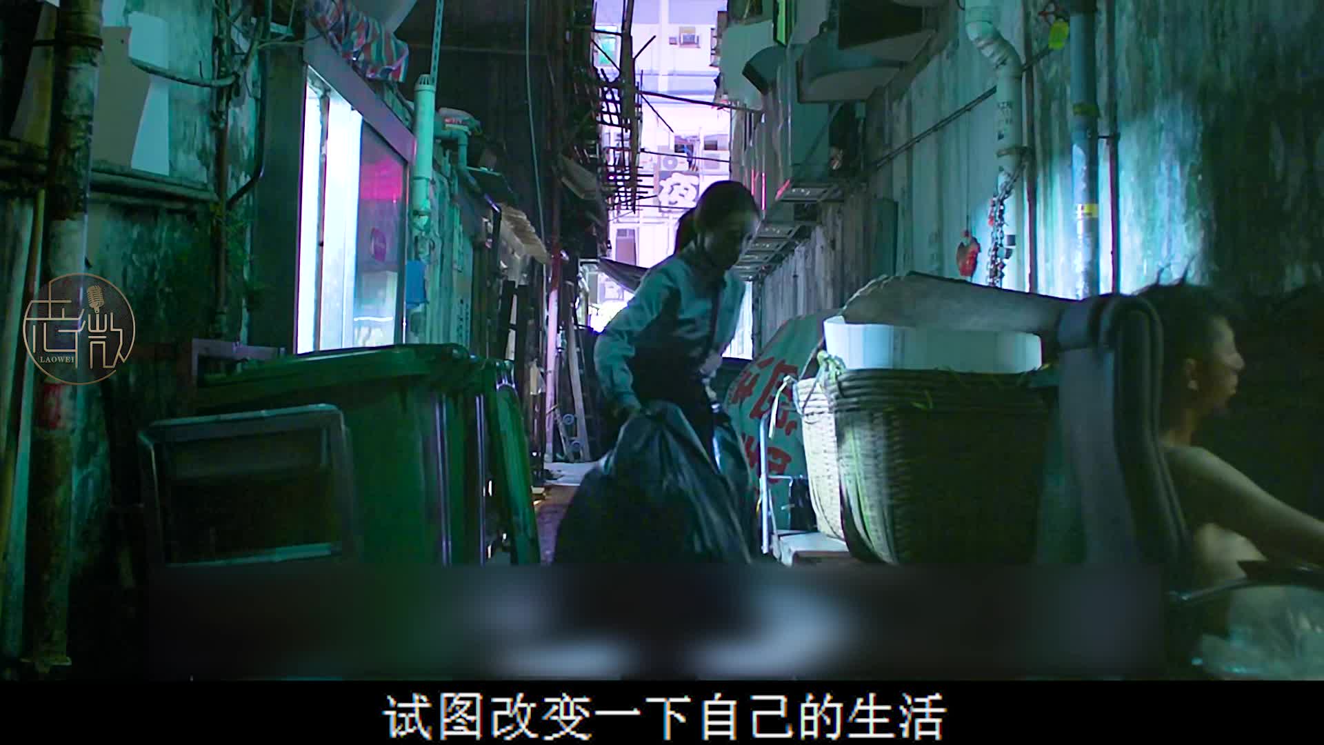 这电影解说绝了