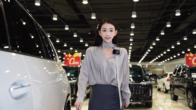 大众揽境真是大