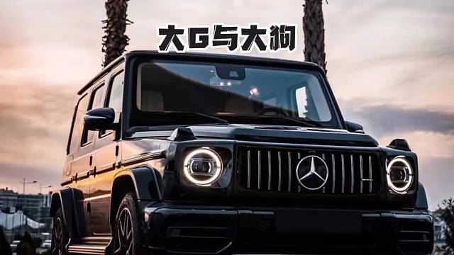 要是你开大狗汽车你会怎么做？