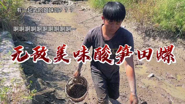 酸笋田螺，美味组合！清爽的酸笋配上鲜嫩的田螺，简直是人间美味