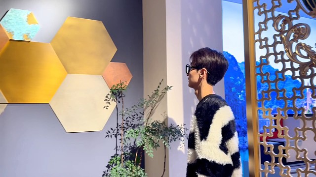 天哪，我这是来到了艺术展吗？#中宝天一铜门 #偏轴门 #系铜门#上海