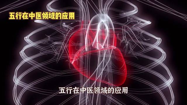 五行在中医领域的应用