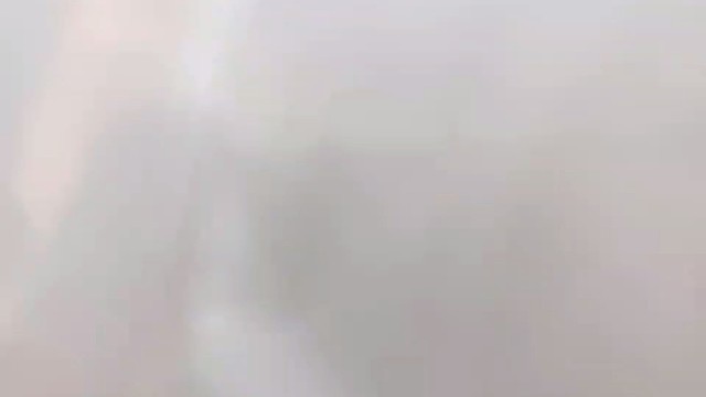 你是我对这世间的唯一热爱