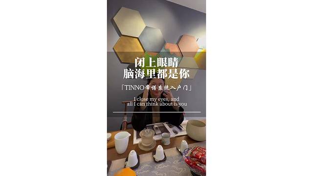 闭上眼睛，脑海里都是你#TINNO帝诺系统入户门