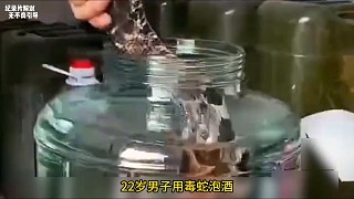 22歲男子用毒蛇泡酒被咬，立即撕開(kāi)傷口放血自救，醫(yī)生：救不活了（全… 展開(kāi)