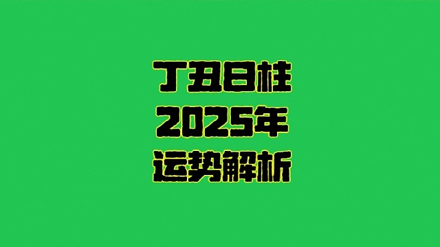 丁丑日2025年运势 丁丑日柱生人男女2025年乙巳年蛇年运势解析
