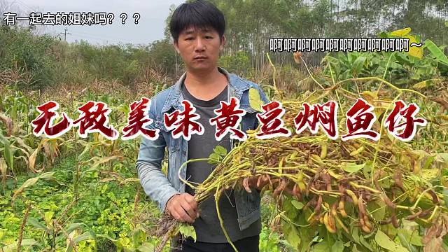 黄豆焖鱼仔，每次吃都感觉像回到小时候一样的味道