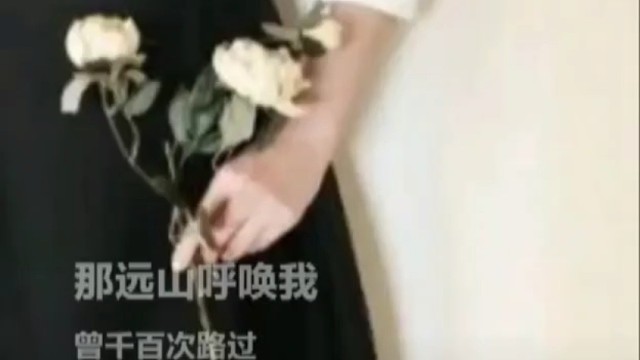 重生之我在虎牙做主播