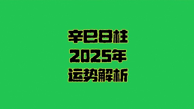辛巳日柱2025年运势  辛巳日柱生人男女2025年乙巳年蛇年运势解析