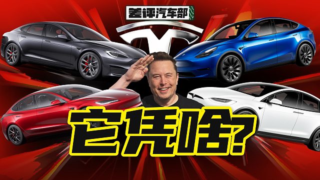 都2025年了，到底谁在买特斯拉？【X.PIN】