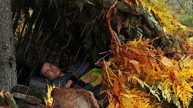 大雨中，独自在荒野生存两天，夜晚听着雨声入睡，很放松