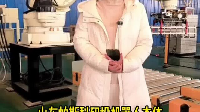 帕斯科码垛机器人本体选购指南