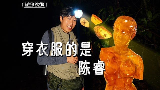 【陈睿】喜气洋洋想去国外淘宝，结果……已老实！