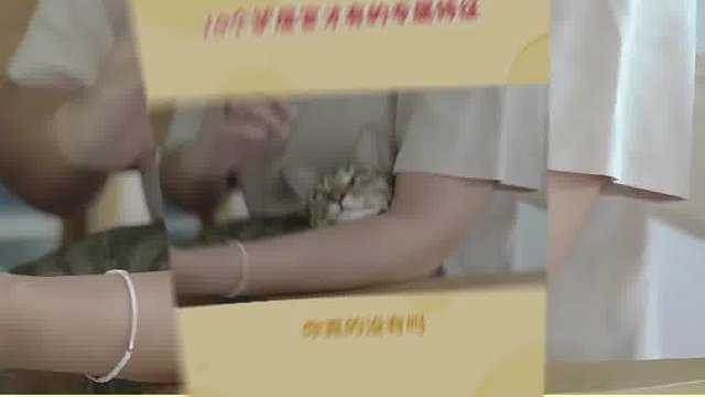 10条铲屎官才有的专属特征，你中了几条