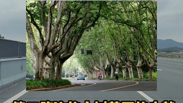 那些你赔不起的马路设施，开车一定要注意#每天一个用车知识 #交通知识 #驾驶技巧