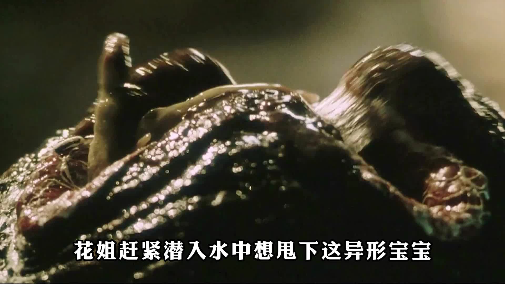 异形4 003