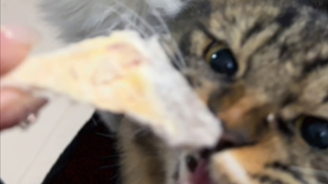 两个好吃鬼