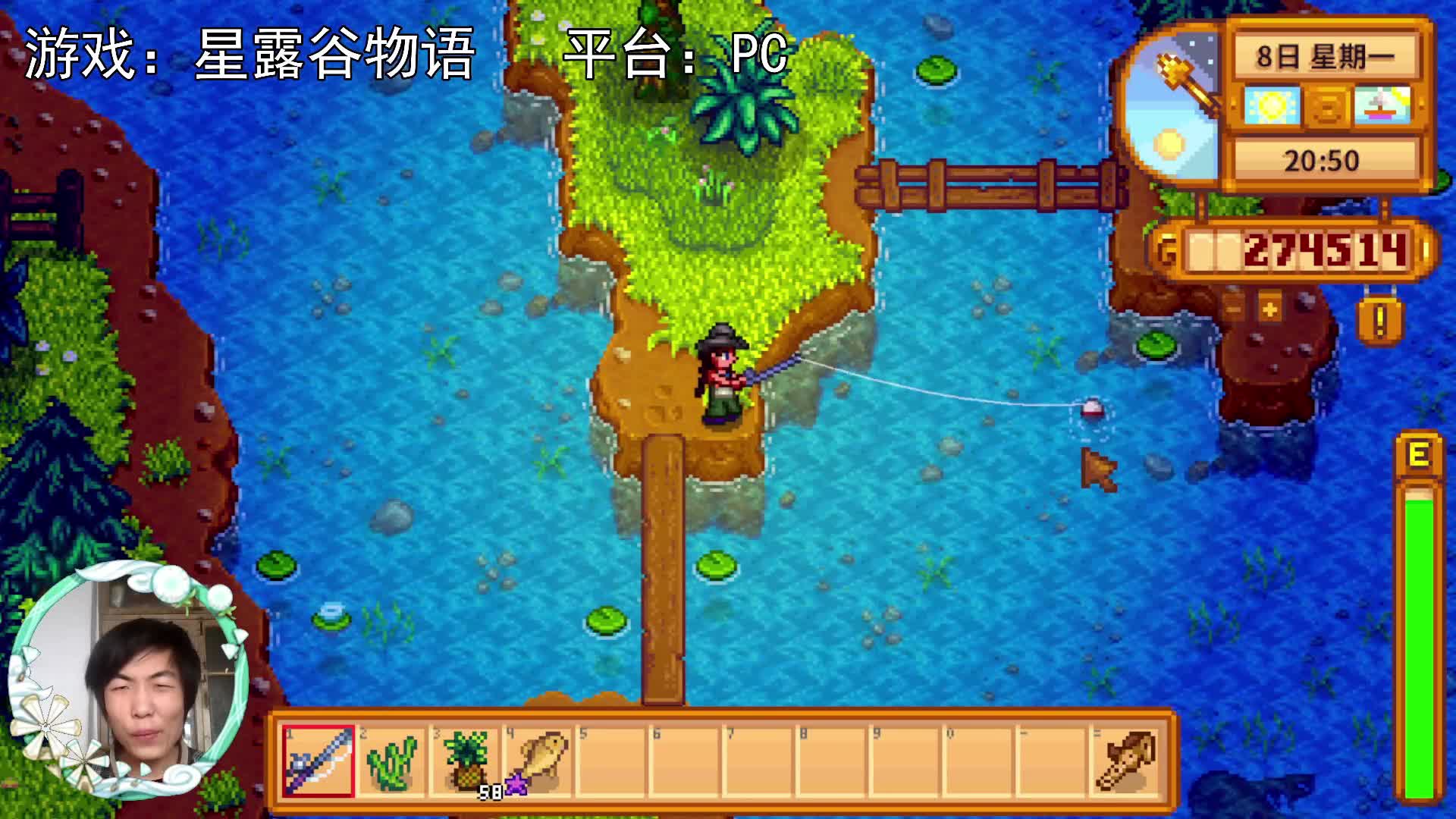 【星露谷物语】夜钓，心静出锦鲤！