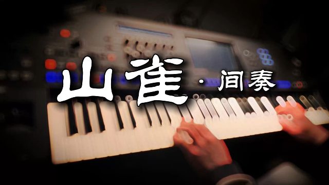 万青《山雀》富有哲思的管乐间奏 键盘手