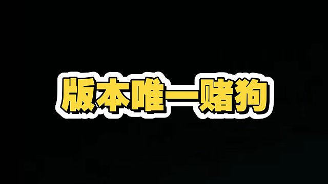 版本唯一赌狗！