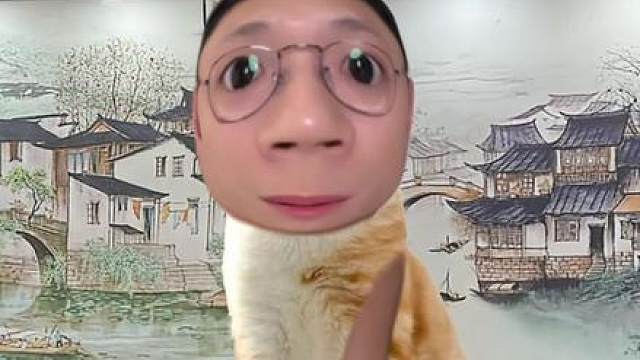 萝卜纸巾之广东美食辨认挑战 广东美食萝卜纸巾猫咪模仿挑战