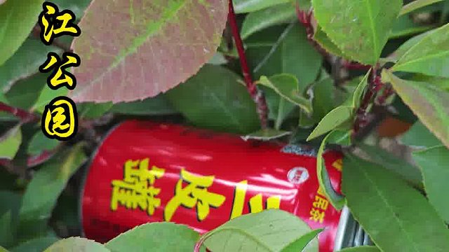 三皮罐带你游荆楚
