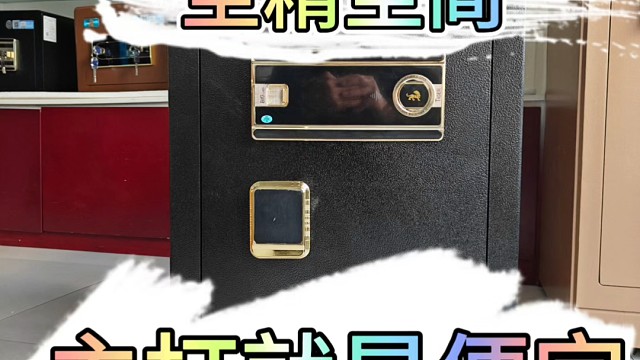 回归经典，追寻品质，隐匿珍宝，守护无畏，珍藏无忧，安全典范！