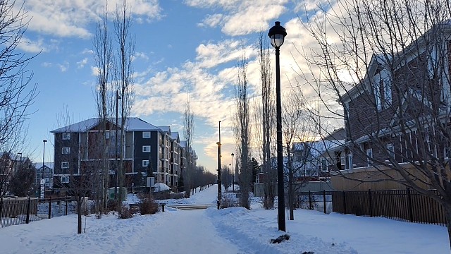 加拿大，百强大学读个博，顺道全家枫叶卡，UBC大学，金融工商管理哲学博士（PhD）