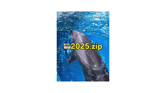 ️2025.zip