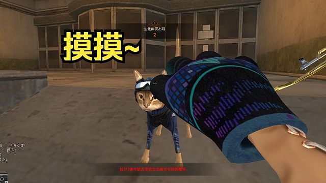 新年摸猫头，万事不用愁