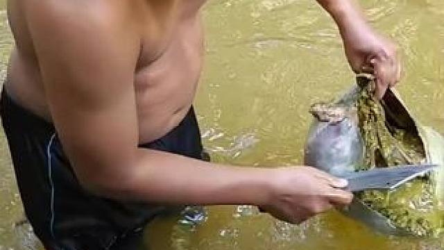 原始美味 #舌尖上的美食 #农村生活