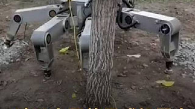 哈工大野外足式机器人，能靠“触摸”识别地形 #哈工大  #足式机器人  #机器人  #人工智能  #