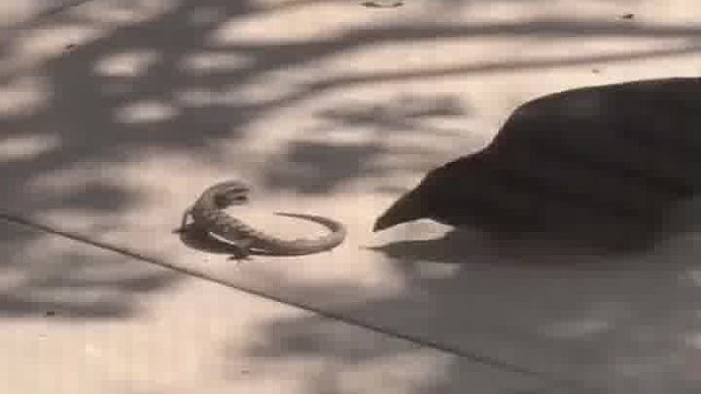 双方的目的都达到了