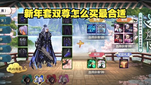 新年套双尊选择方式