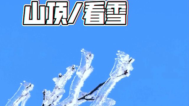 2025年的第一场雪，我选择和小伙伴一起去山顶看。！