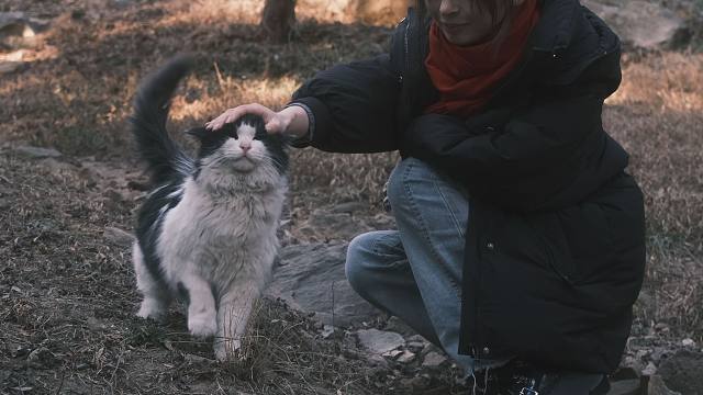 我发布了一个新视频，快来围观吧！