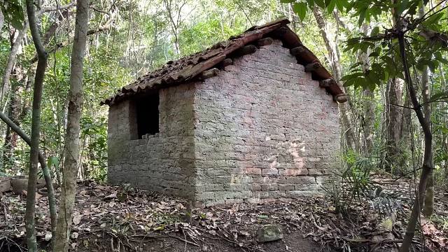 原始技术，我的砖房被倒下的树摧毁，得赶紧重建！