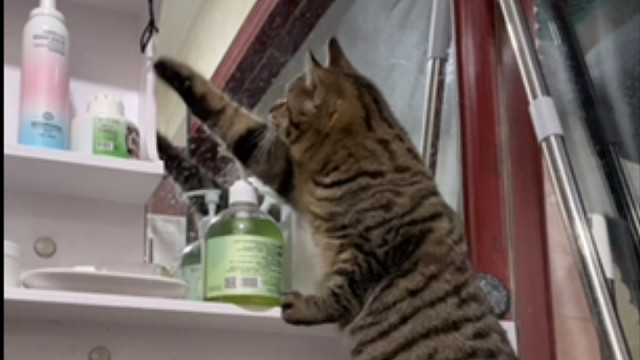 拉个屎也不让我闲着