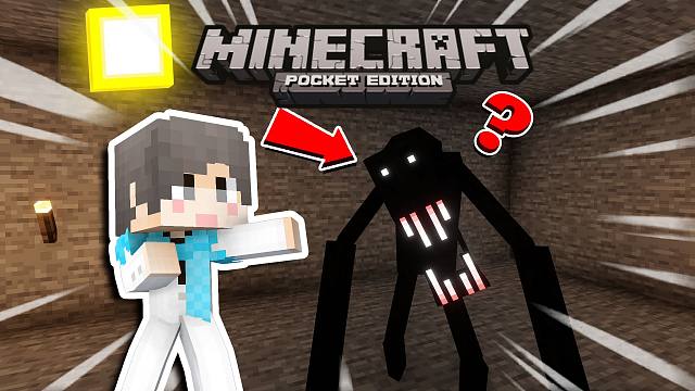 【沉浸式宝可梦】粉丝要求加入雾中人？折磨！！#我的世界