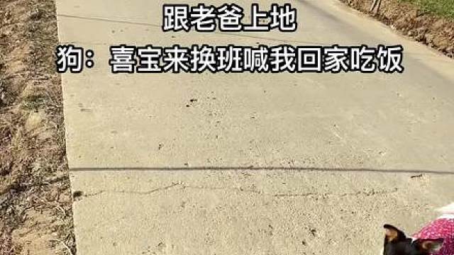 第一批回家过年的你 
可惜你不是河南人，不懂寒冬腊月抗旱浇地的无奈，更不懂半夜蜷缩路边凌烈的寒风呼啸