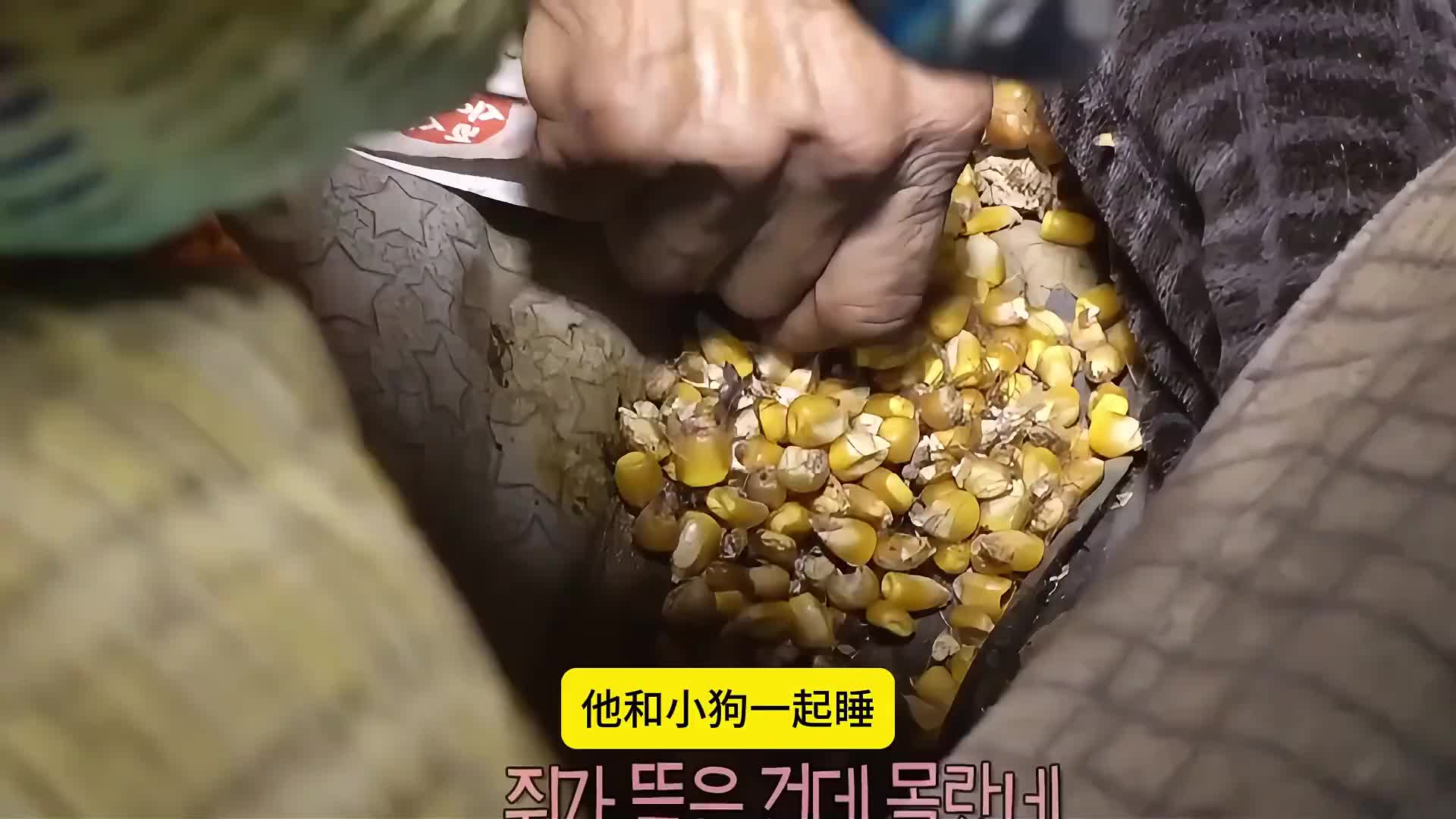 呆在垃圾堆里生活超过了两年