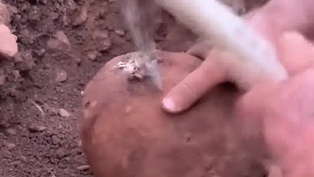 老表这下是发财了啊。