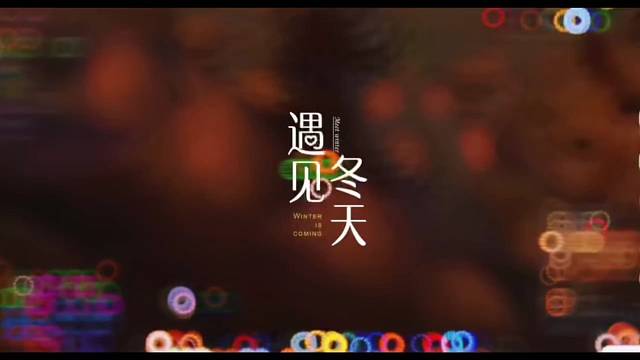 我和我可爱的伙伴