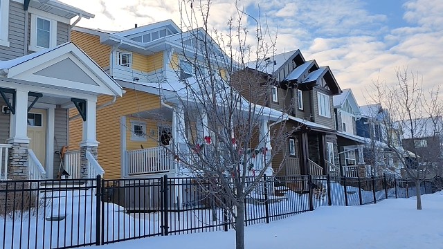 麻省理工，分子生态学读个博，顺道拿个绿卡，世界排名1