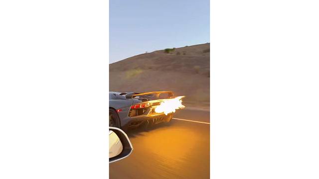 凌驾于风的嘶吼，聆听自由的咆哮