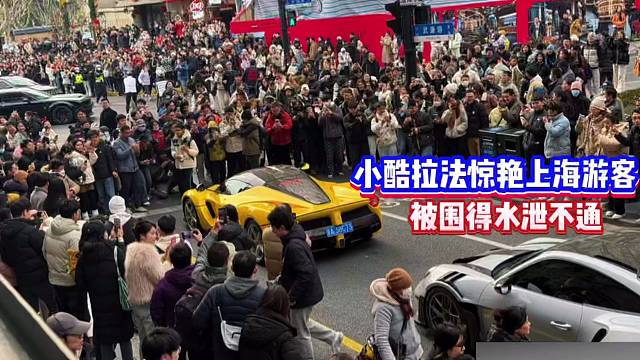 小酷拉法在上海惊艳到游客！被围得水泄不通！太有面了