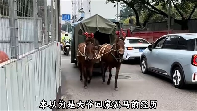 要不说还得是大爷呢