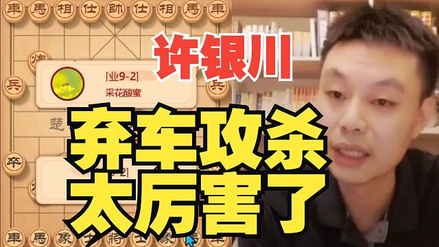 许银川十分精彩的弃车攻杀，太厉害了